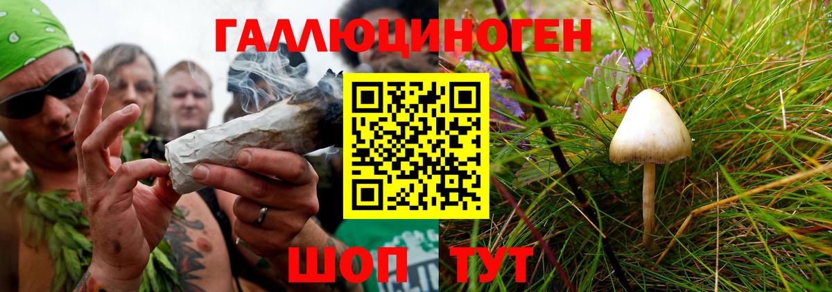 Псилоцибиновые грибы прущие грибы Нижний Новгород