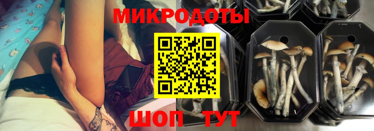 Галлюциногенные грибы Magic Shrooms  Вход с VPN  Нижний Новгород  где купить   Галлюциногенные грибы ЛСД 